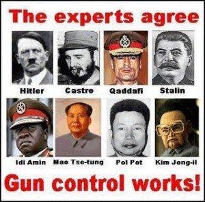 gun_control_works