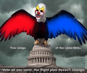 two_wings_same_bird_vote-300x253
