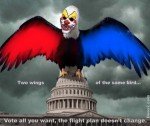 two_wings_same_bird_vote-300x253