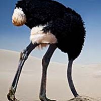 Obama Ignores Thousands of Murdered Black Men to Push Racism