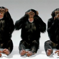 Bill (Domestic Terrorist) Ayers and His Media Groupies