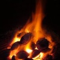 “War on Coal Is Exactly What’s Needed” – Obama Anti-Energy Adviser